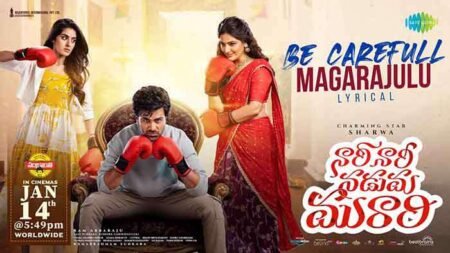 Be Carefull Magarajulu Lyrics Nari Nari Naduma Murari