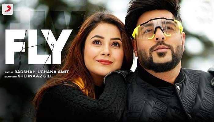 Fly Song Lyrics Badshah, Uchana Amit