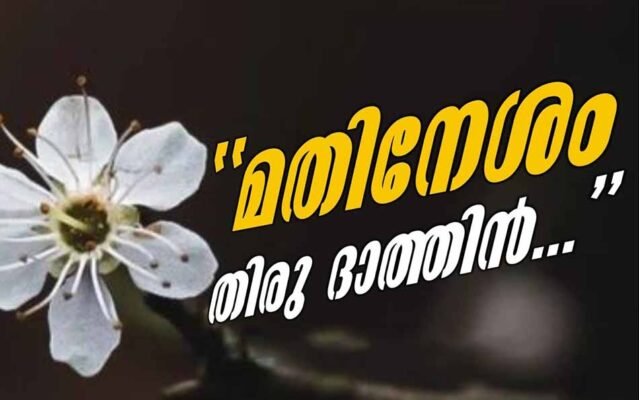 Madinesham Mappilapattu Lyrics - Mehrin