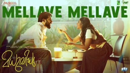 Mellave Mellave Lyrics Translation Madhuvidhu