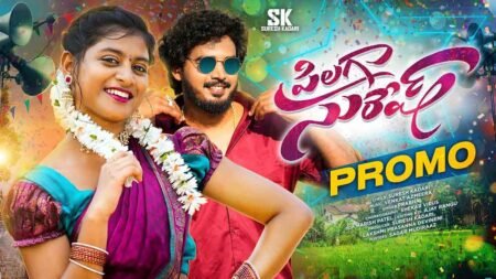 Pilaga Suresh Song Lyrics- Telugu Folk Song-Suresh Kadari Pilaga Suresh Song Lyrics